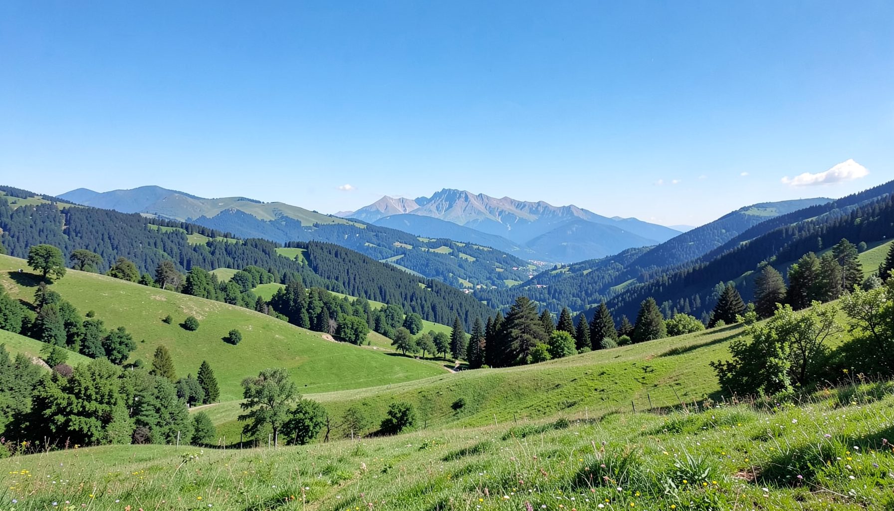 Ampia vallata verde con dolci colline, pinete e cime rocciose in lontananza sotto un cielo azzurro.